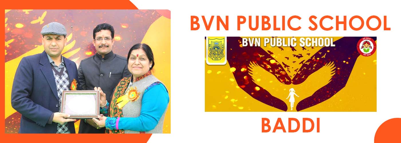 BVN Public School Baddi